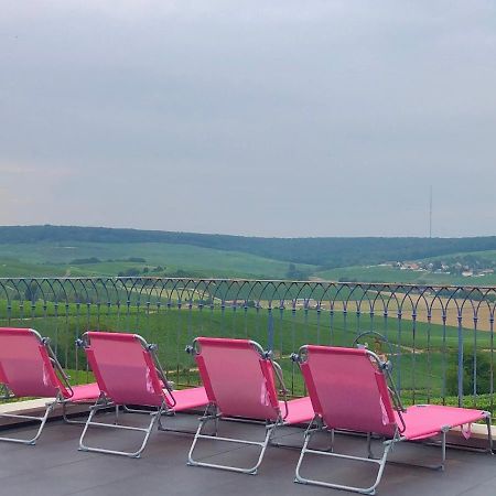 Vila Floressens En Champagne Terrasse Privative Sur Le Vignoble Fleury-la-Riviere Exteriér fotografie