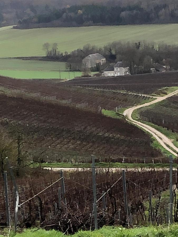Vila Floressens En Champagne Terrasse Privative Sur Le Vignoble Fleury-la-Riviere Exteriér fotografie