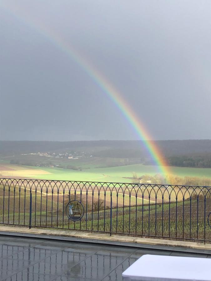 Vila Floressens En Champagne Terrasse Privative Sur Le Vignoble Fleury-la-Riviere Exteriér fotografie