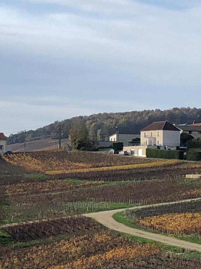 Vila Floressens En Champagne Terrasse Privative Sur Le Vignoble Fleury-la-Riviere Exteriér fotografie