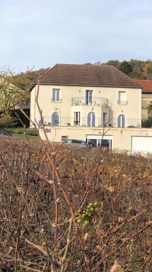 Vila Floressens En Champagne Terrasse Privative Sur Le Vignoble Fleury-la-Riviere Exteriér fotografie