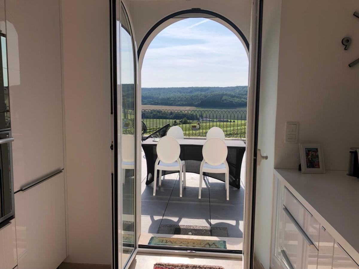 Vila Floressens En Champagne Terrasse Privative Sur Le Vignoble Fleury-la-Riviere Exteriér fotografie