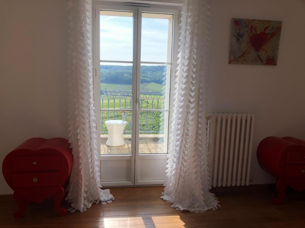 Vila Floressens En Champagne Terrasse Privative Sur Le Vignoble Fleury-la-Riviere Exteriér fotografie