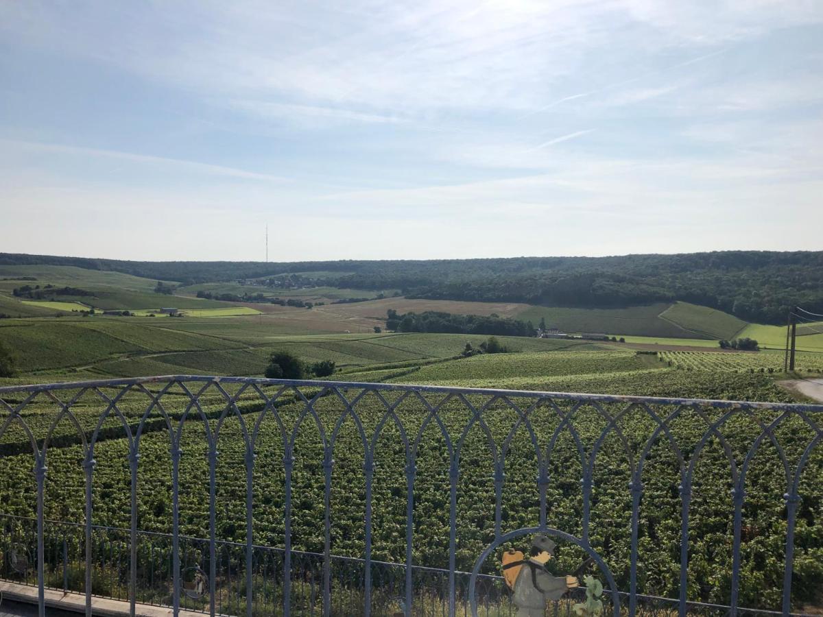 Vila Floressens En Champagne Terrasse Privative Sur Le Vignoble Fleury-la-Riviere Exteriér fotografie