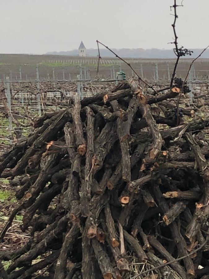 Vila Floressens En Champagne Terrasse Privative Sur Le Vignoble Fleury-la-Riviere Exteriér fotografie