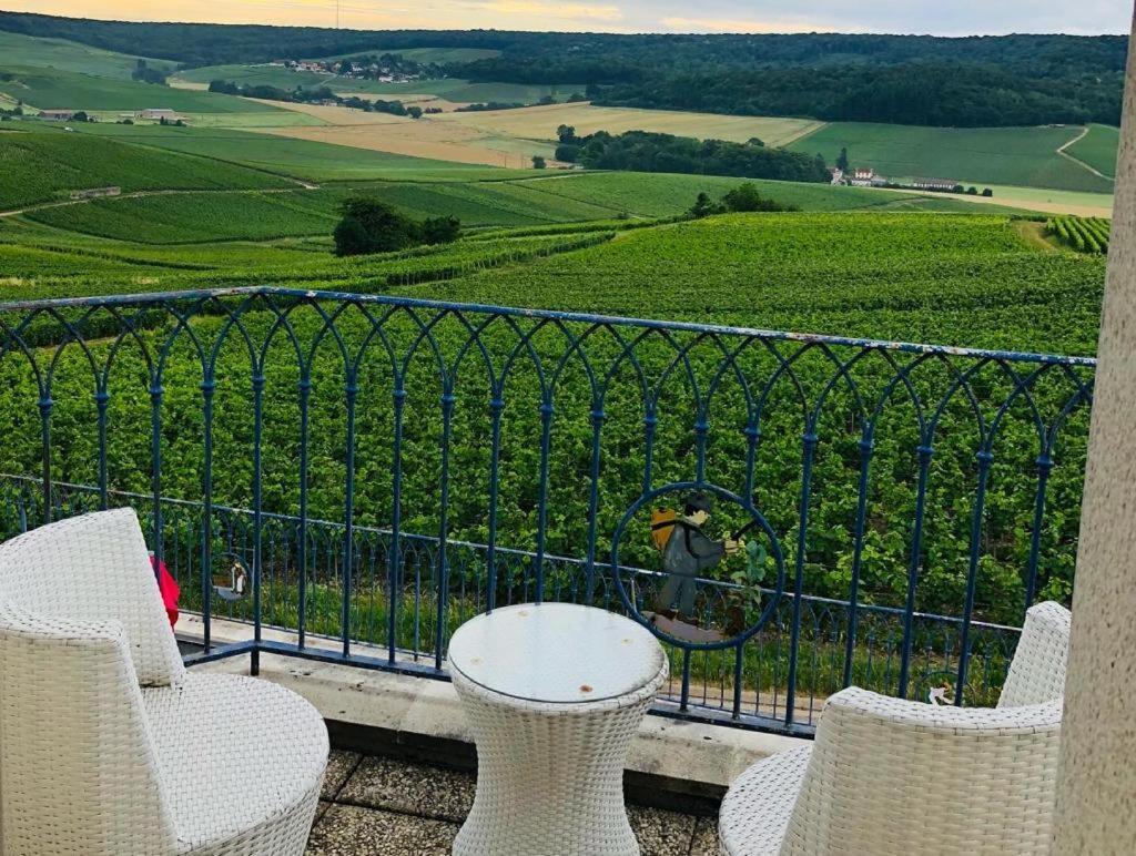 Vila Floressens En Champagne Terrasse Privative Sur Le Vignoble Fleury-la-Riviere Exteriér fotografie