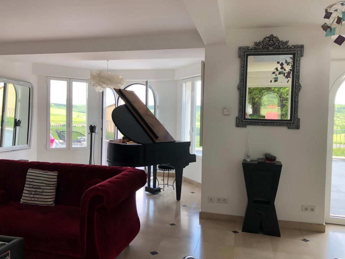 Vila Floressens En Champagne Terrasse Privative Sur Le Vignoble Fleury-la-Riviere Exteriér fotografie