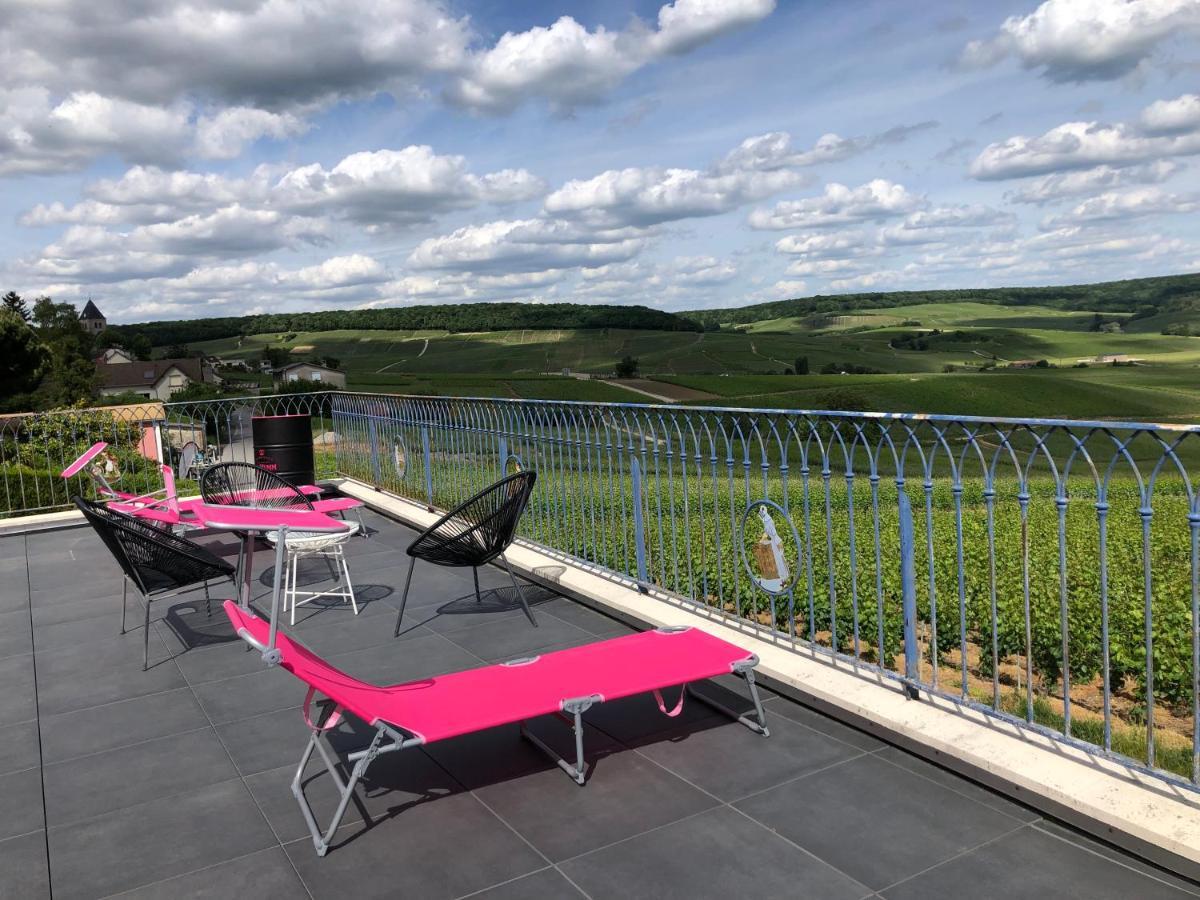 Vila Floressens En Champagne Terrasse Privative Sur Le Vignoble Fleury-la-Riviere Exteriér fotografie