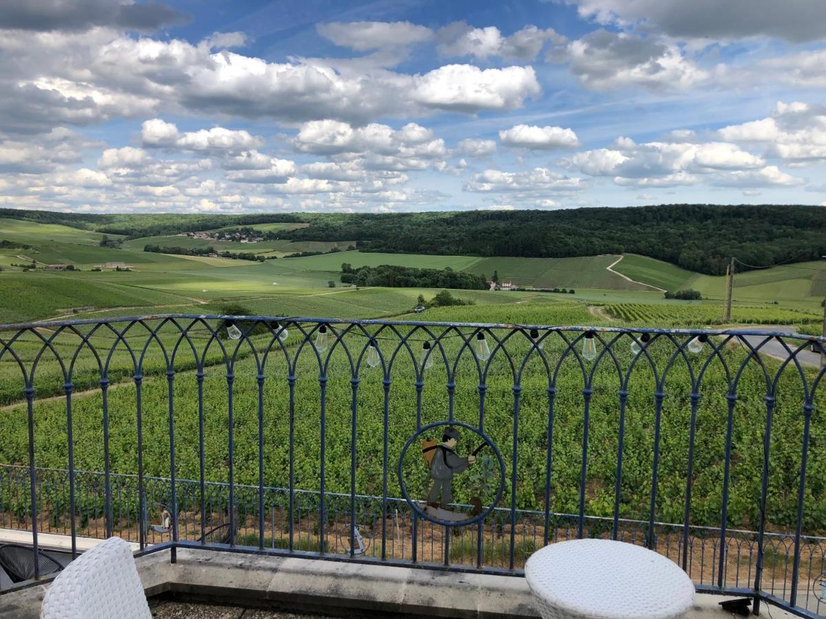 Vila Floressens En Champagne Terrasse Privative Sur Le Vignoble Fleury-la-Riviere Exteriér fotografie