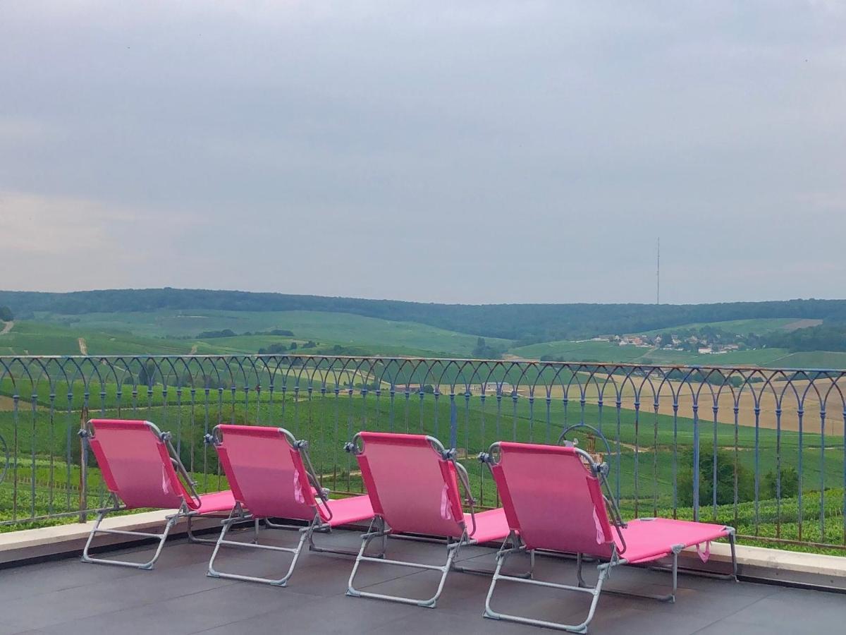 Vila Floressens En Champagne Terrasse Privative Sur Le Vignoble Fleury-la-Riviere Exteriér fotografie
