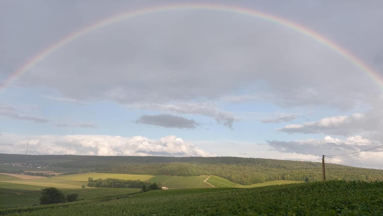 Vila Floressens En Champagne Terrasse Privative Sur Le Vignoble Fleury-la-Riviere Exteriér fotografie