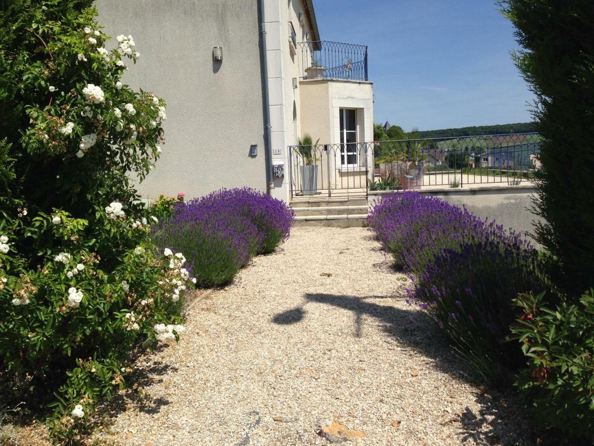 Vila Floressens En Champagne Terrasse Privative Sur Le Vignoble Fleury-la-Riviere Exteriér fotografie