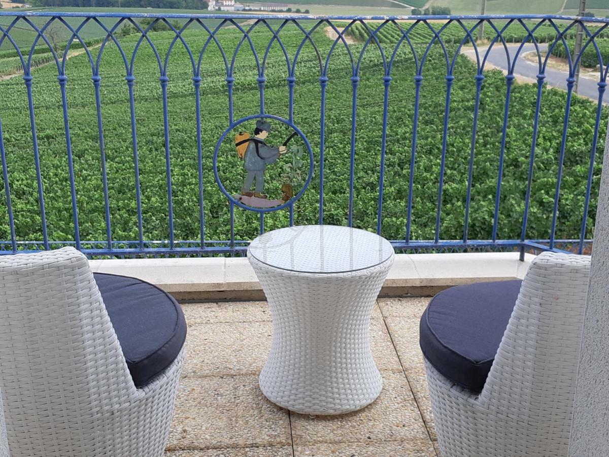 Vila Floressens En Champagne Terrasse Privative Sur Le Vignoble Fleury-la-Riviere Exteriér fotografie